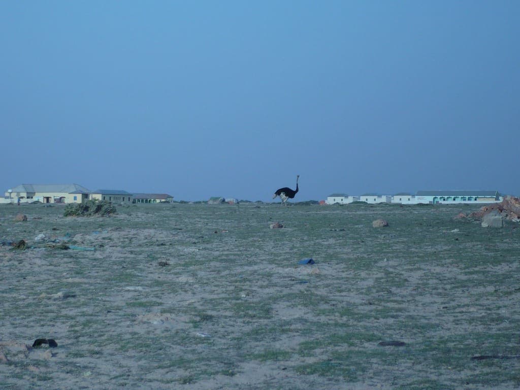 Garacad town on the coastal plain